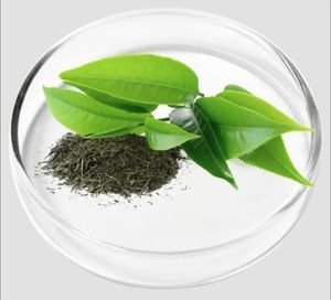 Green Tea leaves