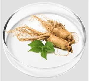 Korean Ginseng roots