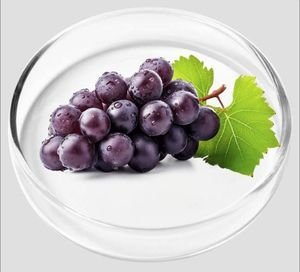 Resveratrol from grapes